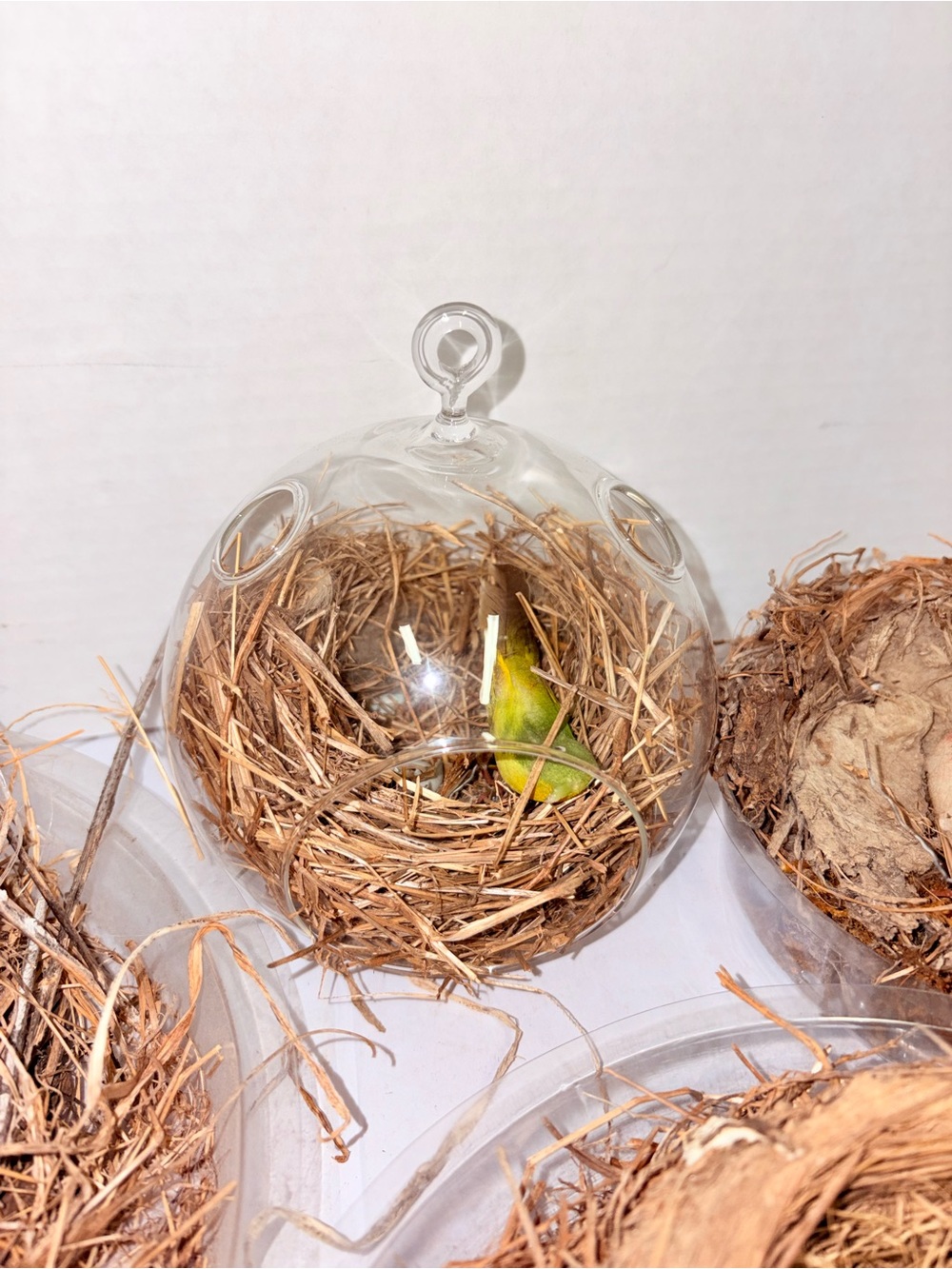 Nests - Picture 3 of 6